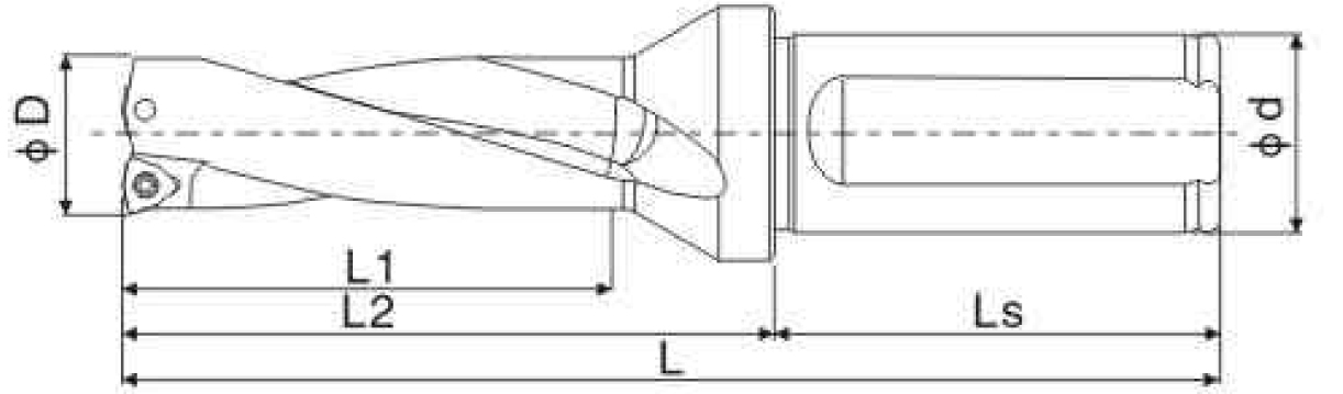 Фото 3: C40-3D40-125WC06 корпусное сверло под пластину Weila (DESKAR)