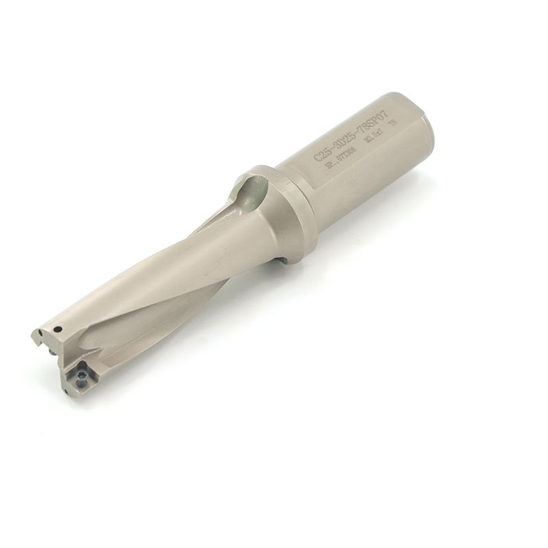 Фото 7: C25-3D25-78SP07 корпусное сверло под пластину Weila (DESKAR)