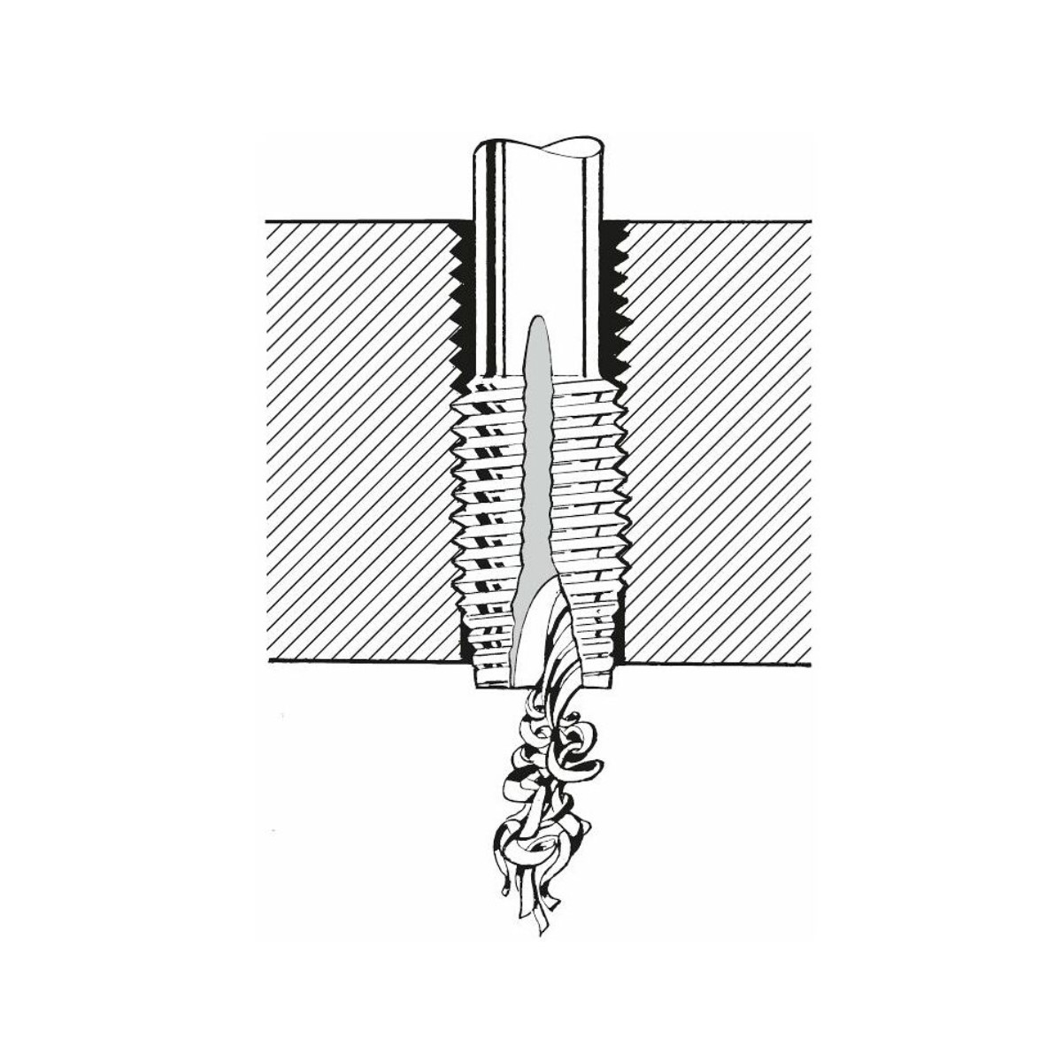 Фото 2: 132830 M30X1 HSS-E ISO2/6H